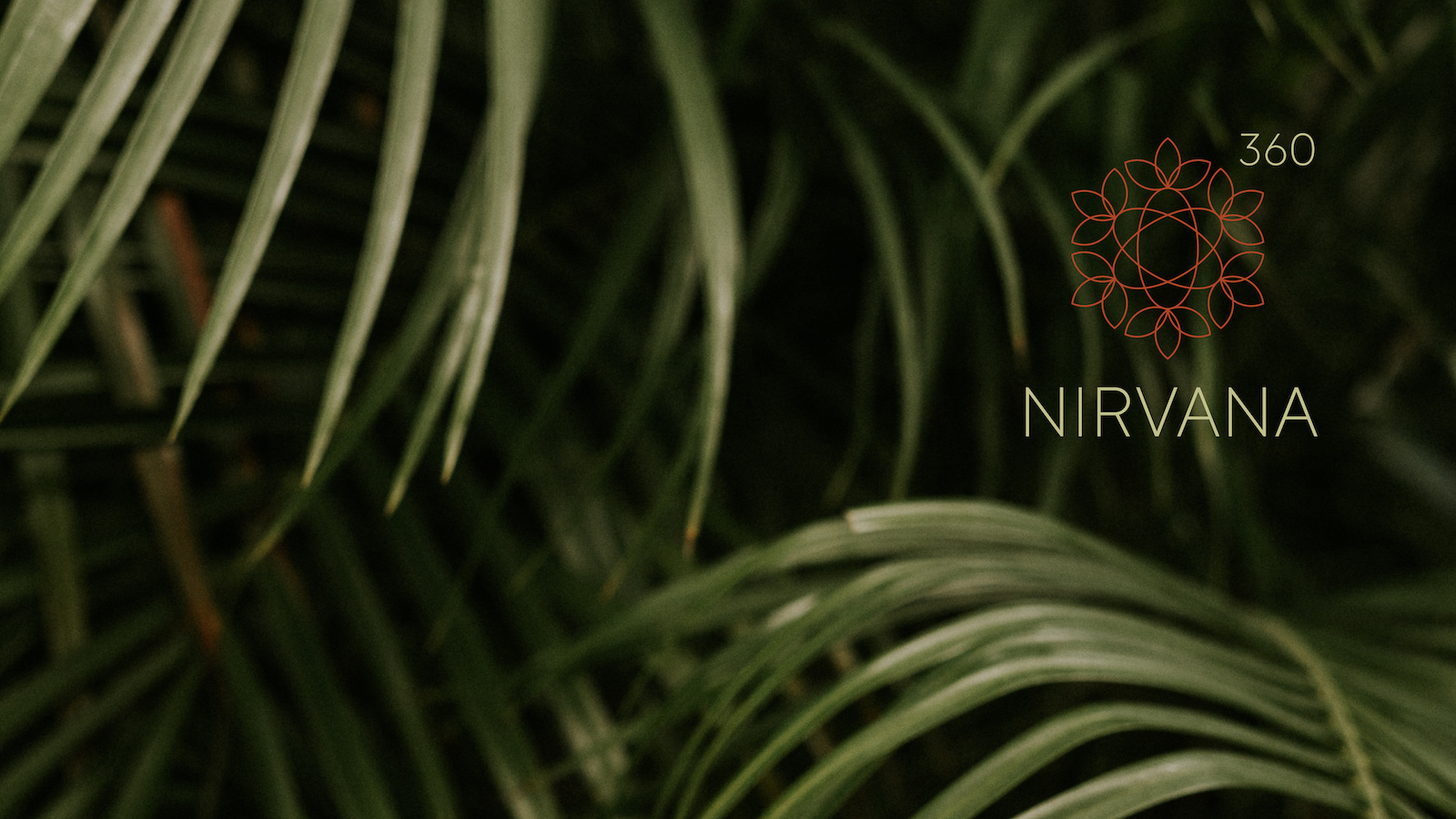 Nirvana_04