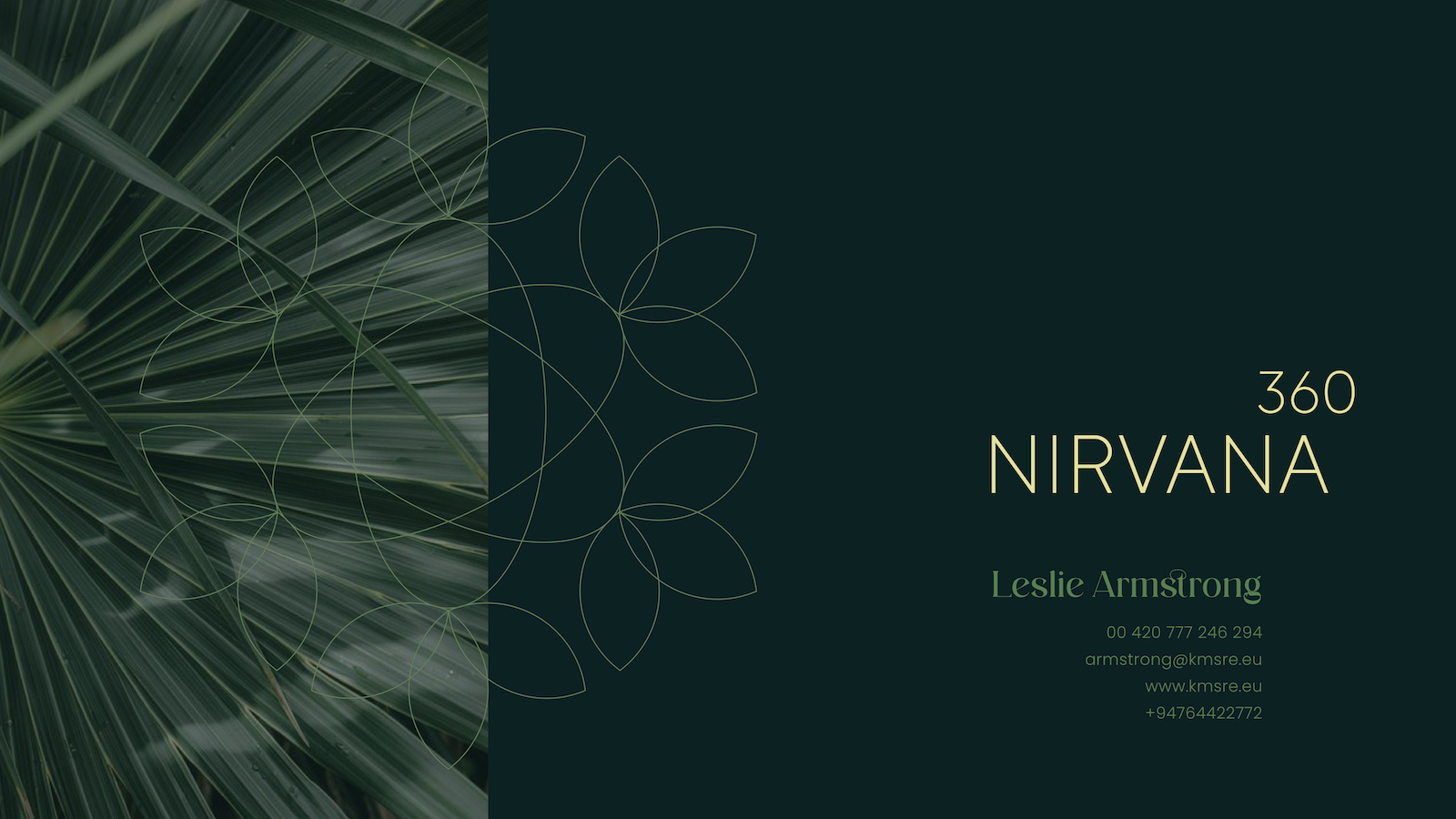 Nirvana_0426